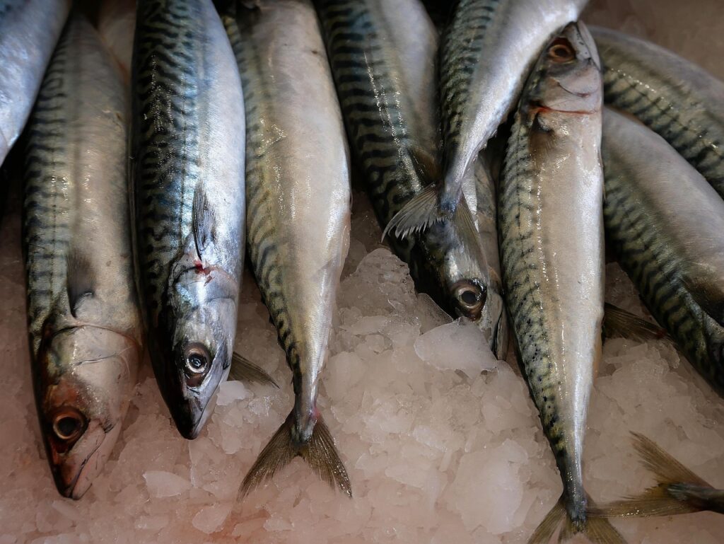 fish, nature, stall, market, food, fresh, ice, et al, power, costs